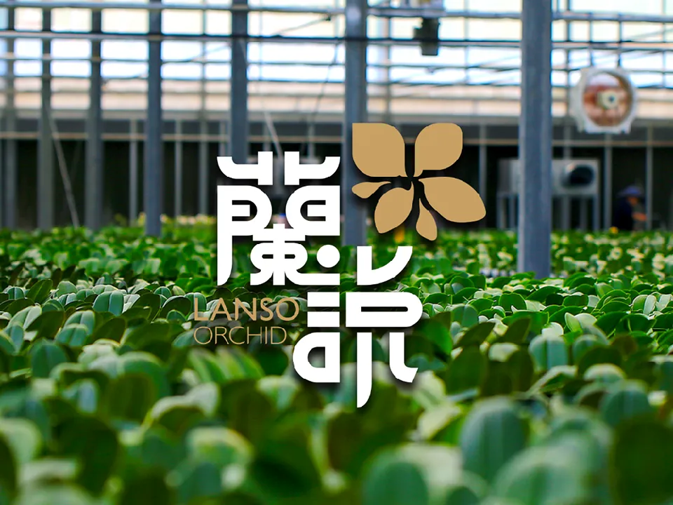 蘭說Lanso